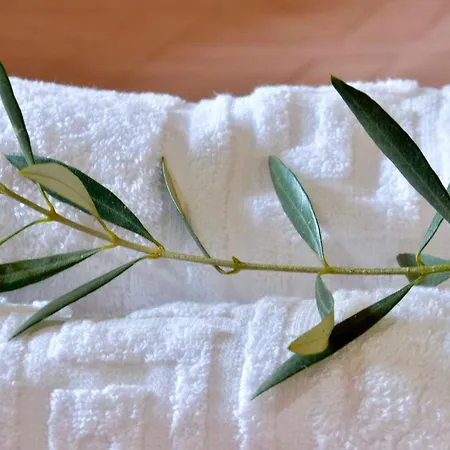 Casa Maria Велонадес